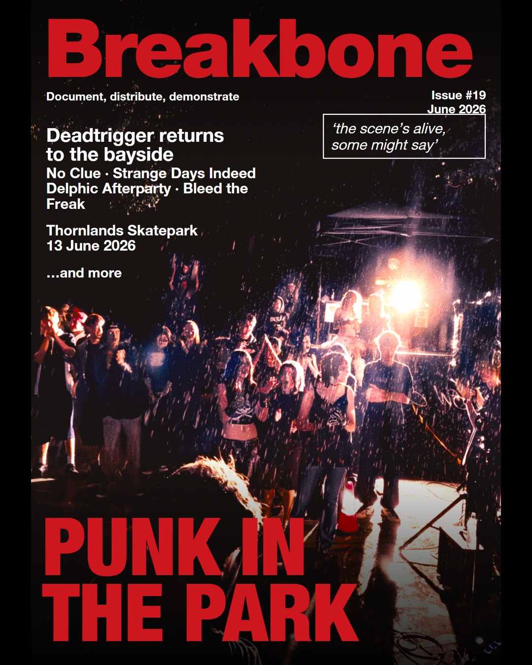 Breakbone Punk in the Park cover, the crowd in the rain under one stage light